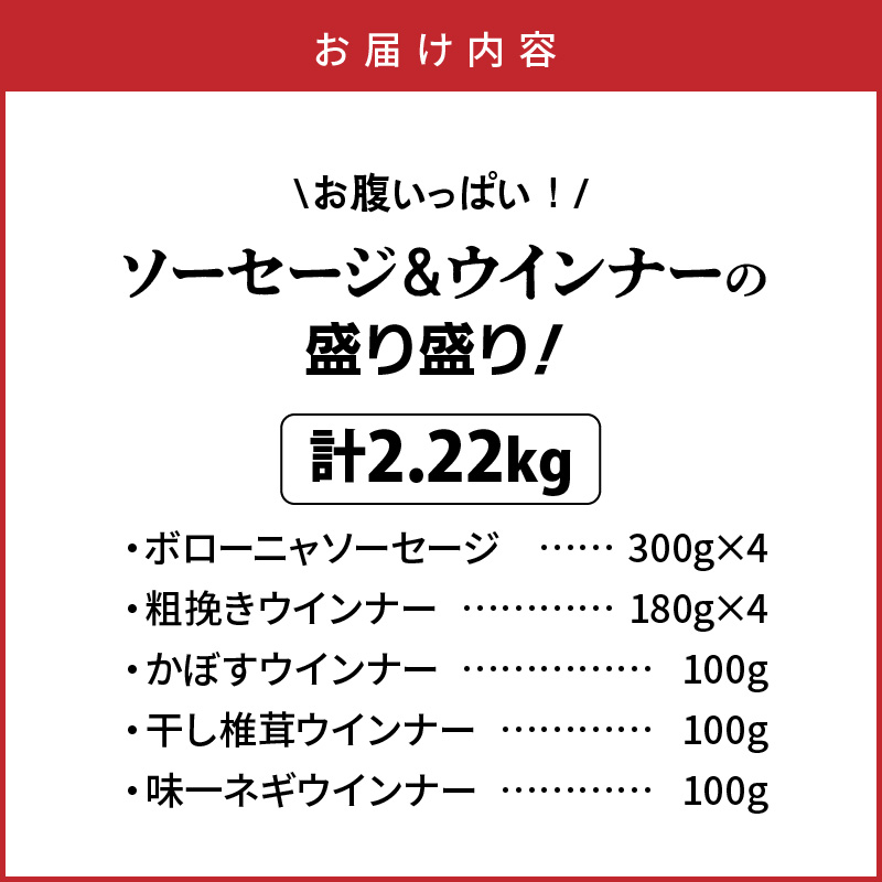 【選べる容量】＼本場ドイツ伝統製法／お腹いっぱいソーセージ＆ウインナー 5種 2.22kg_29199A-4