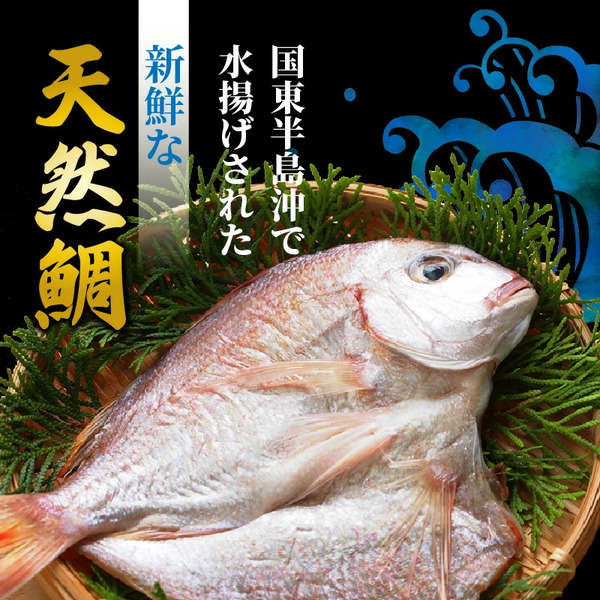 鬩壽輔ョ螟ァ縺阪&シ∬ィウ縺ゅj螟ゥ辟カ魃帙ョ荳螟懷ケイ縺1.8kg_1554R