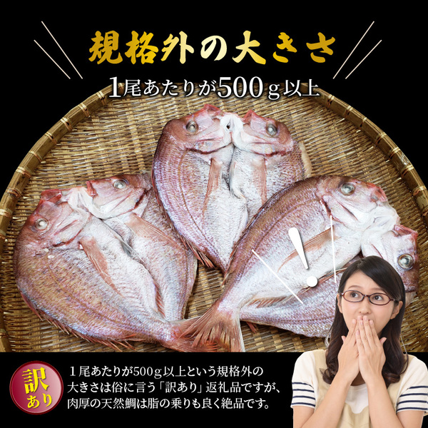 鬩壽輔ョ螟ァ縺阪&シ∬ィウ縺ゅj螟ゥ辟カ魃帙ョ荳螟懷ケイ縺1.8kg_1554R