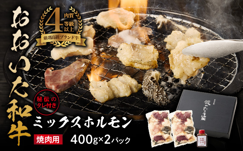 【秘伝のタレ付】おおいた和牛ミックスホルモン400g×2パック_2678R 焼肉 バーベキュー BBQ ミシュラン 高級店