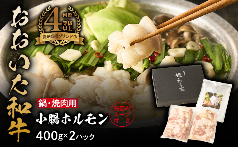 【秘伝のスープ付】おおいた和牛 小腸ホルモン400g×2パック_2680R もつ鍋 塩もつ もつ煮込み 旨塩 ミシュラン 高級