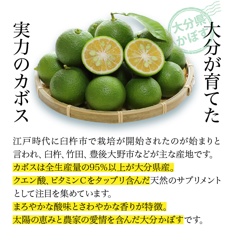 【隔月2ケース】つぶらなカボス　3回定期便_2727R-2