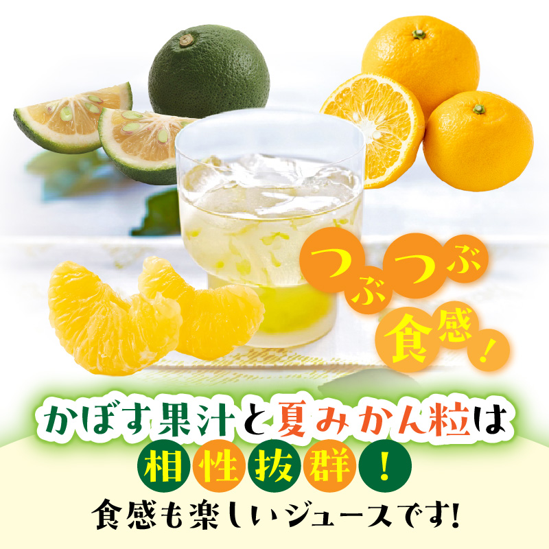 【隔月2ケース】つぶらなカボス　3回定期便_2727R-2