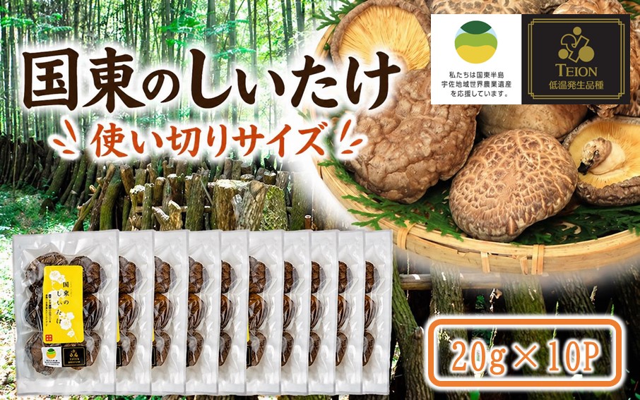 小分けで便利！ 国東のしいたけ 使い切りサイズ 20g×10P 大分 椎茸 乾燥しいたけ 小袋 個包装_2683R