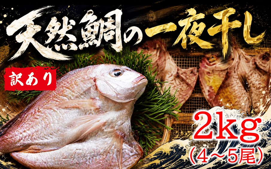 天然鯛の一夜干し 訳あり 2.0kg（４尾〜５尾） 干物 タイ おかず つまみ_1613R