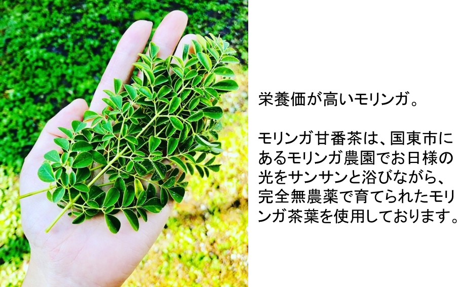 繝「繝ェ繝ウ繧ャ逕倡分闌カ縲1陲具シ10蛹蜈・繧奇シ雲1745R