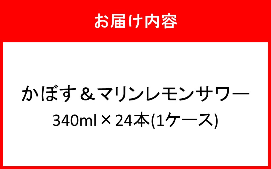 倧åçç£ ããŒã&ããªã³ã¬ã¢ã³ãµã¯ãŒ 340mlÃ24æ¬_2738R