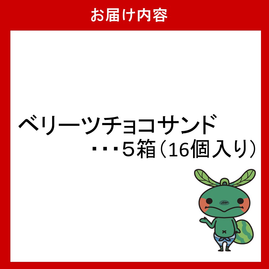アイラブベリーツ！ベリーツチョコサンド 5箱 苺 いちご ストロベリー クッキー クリーム お菓子 おやつ_2783R
