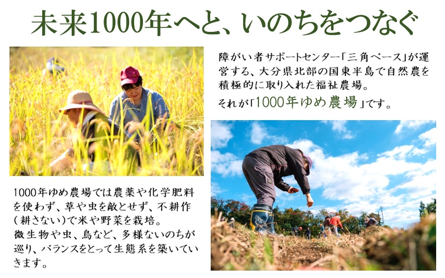 1000年ゆめ農場 びわの葉茶