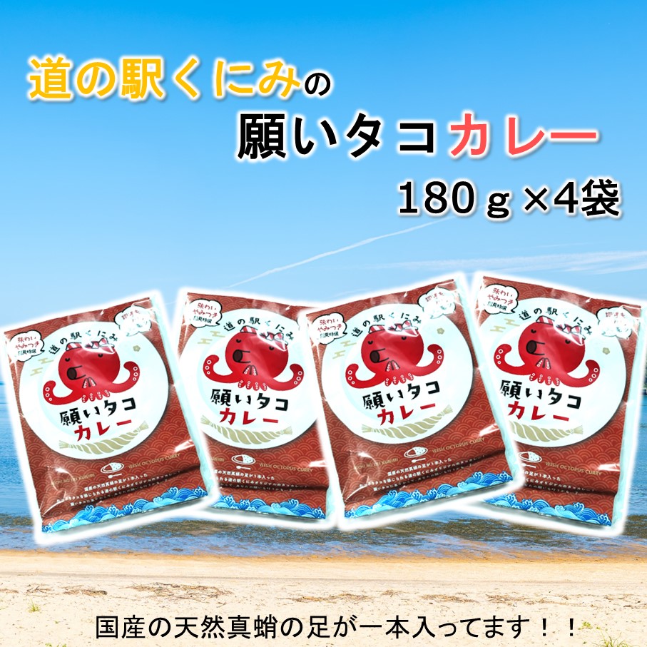 道の駅くにみの願いタコカレー4袋 レトルト 時短 簡単調理 海鮮 真蛸_2802R-2
