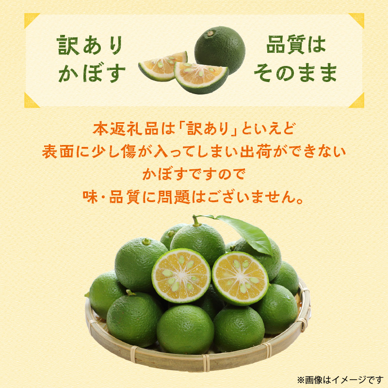 ãèš³ãããå€å°ã®å·ãã 埳䞞蟲åããŒãçŽ1.9kg_2265R