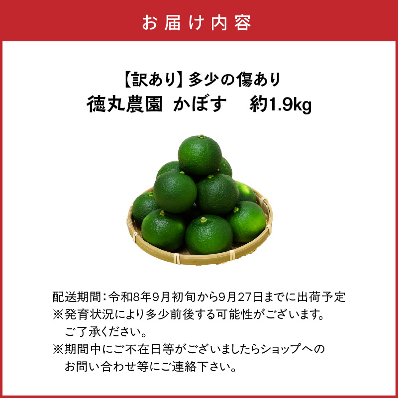 ãèš³ãããå€å°ã®å·ãã 埳䞞蟲åããŒãçŽ1.9kg_2265R