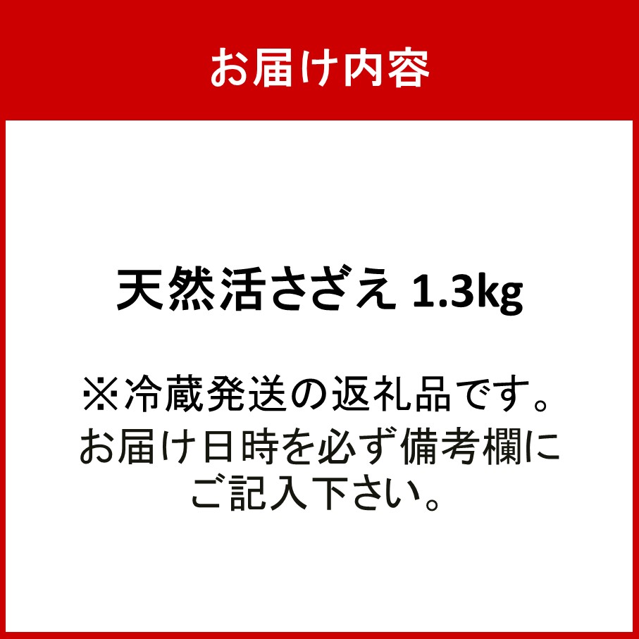 ãå·èµçºéãæŒåž«çŽé!å€©ç¶æŽ»ããã1.3kg_1067R
