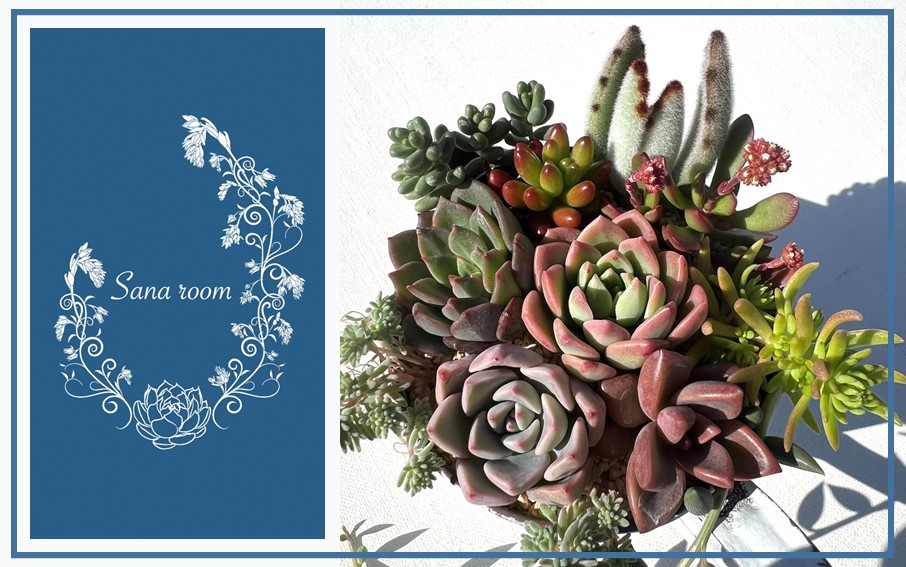 閾ェ蛻縺ァ讀阪∴繧句、夊i讀咲黄/繧サ繝繝邉サ闍冷サ繝斐Φ繧サ繝繝井サ倥″A繧サ繝繝