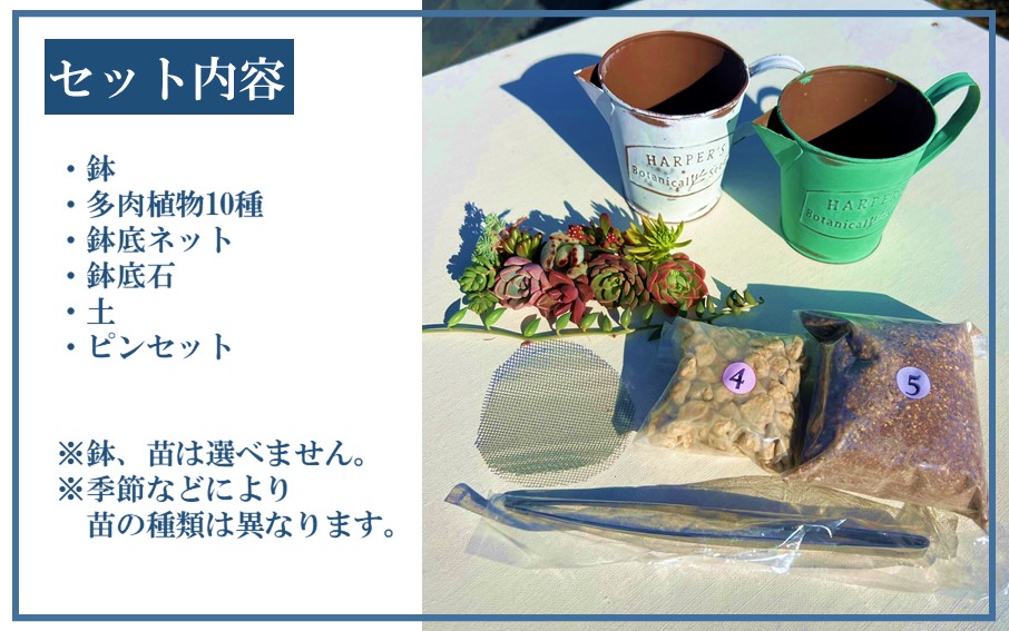 閾ェ蛻縺ァ讀阪∴繧句、夊i讀咲黄/繧サ繝繝邉サ闍冷サ繝斐Φ繧サ繝繝井サ倥″A繧サ繝繝