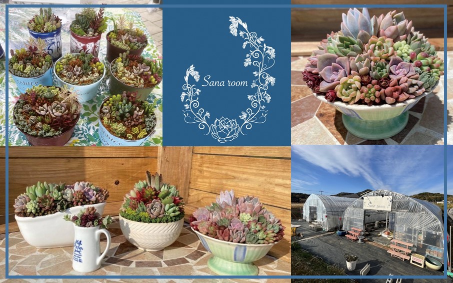 閾ェ蛻縺ァ讀阪∴繧句、夊i讀咲黄/繧サ繝繝邉サ闍冷サ繝斐Φ繧サ繝繝井サ倥″A繧サ繝繝