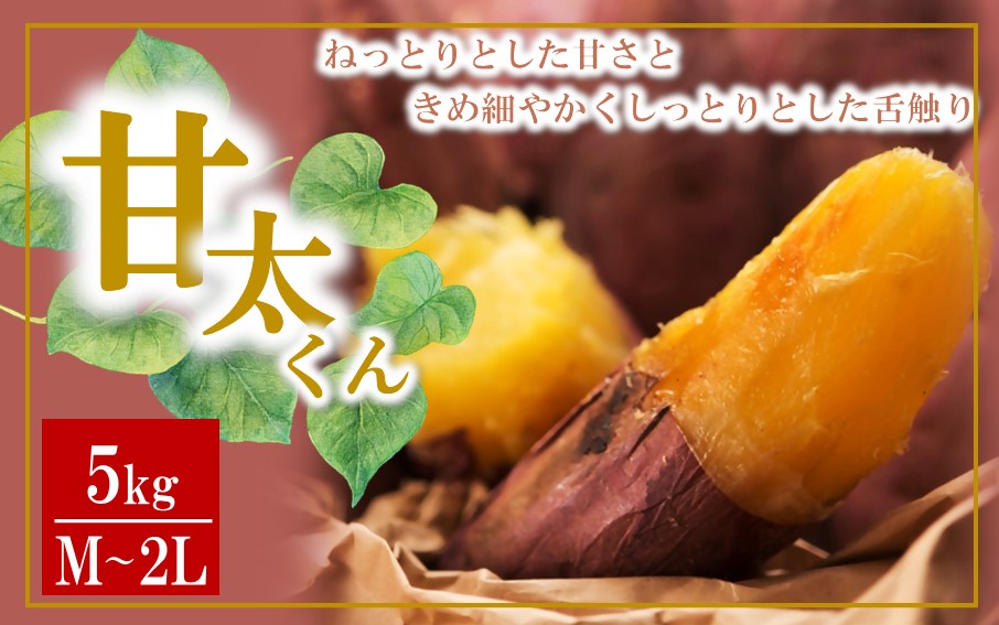 【先行予約】さつまいも 甘太くん 5kg 大分県産 M〜2L _2291R