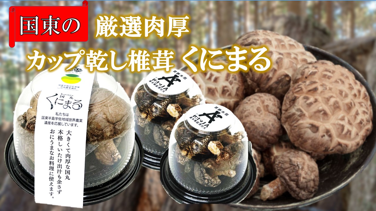 国東の厳選肉厚カップ乾し椎茸 くにまる 特大1・小2_2547R