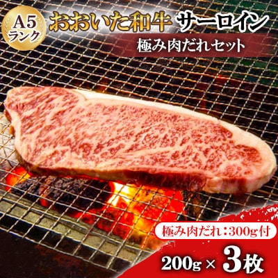 おおいたの美味しいお肉食べつくしセットC【複数個口で配送】【配送不可地域：離島】【4063853】