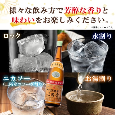 【2ヵ月毎定期便】大分むぎ焼酎二階堂(25度(1.8L)×6本) 全6回【4007321】