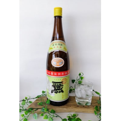 大分むぎ焼酎　二階堂速津媛2本と麗(うらら)20度(1800ml)4本セット【1494852】