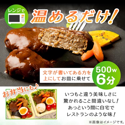 螟ァ蛻縺ョ諱オ縺ソ繝上Φ繝舌シ繧ー 1.6kg (160gテ10蛟)(譌・蜃コ逕コ)縲宣埼∽ク榊庄蝨ー蝓滂シ夐屬蟲カ縲代1373904縲