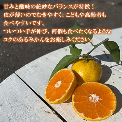 温州みかん約10キロ【1727487】