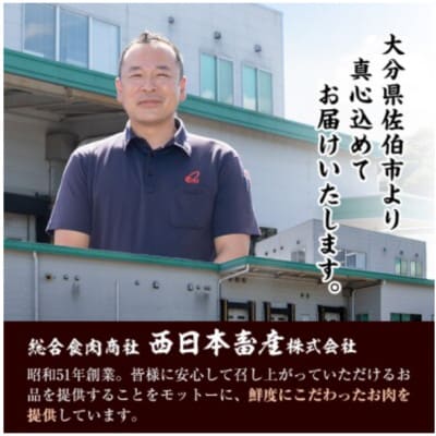 縺翫♀縺縺溷柱迚 繧オ繝シ繝ュ繧、繝ウ繧ケ繝繝シ繧ュ縲險360g(180gテ2譫)縲宣埼∽ク榊庄蝨ー蝓滂シ夐屬蟲カ縲代1701052縲