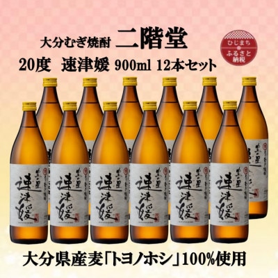 大分むぎ焼酎　二階堂速津媛20度(900ml)12本セット【1494429】