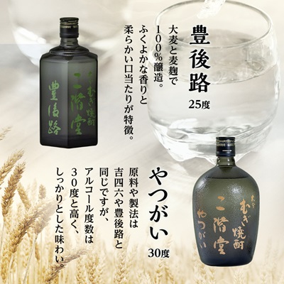 大分むぎ焼酎　二階堂吉四六つぼ・吉四六瓶・豊後路・やつがい(720ml)4本セット【1456144】