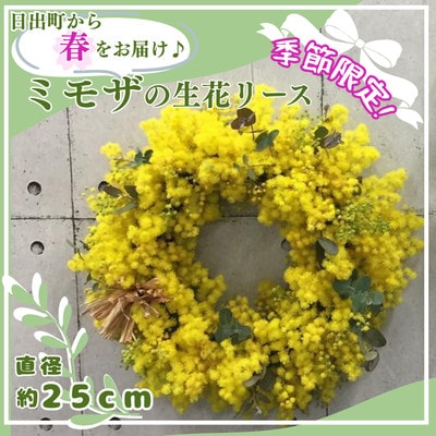 【2027年3月より順次発送予定】日出町から春をお届け♪ふわふわのミモザをたっぷり使ったリース【配送不可地域：離島】【1742524】