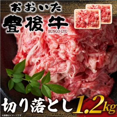 縺翫♀縺縺溯ア雁セ檎央蛻繧願誠縺ィ縺 1.2kg(600gテ2P)(譌・蜃コ逕コ)縲宣埼∽ク榊庄蝨ー蝓滂シ夐屬蟲カ縲代1571550縲