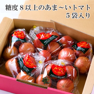 【糖度8度以上】あま〜いトマト「トマ王 潮」(約300g×5袋)【配送不可地域：離島】【1087105】