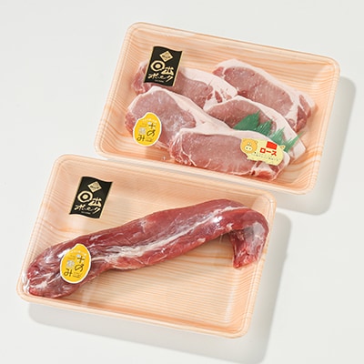 【日出ポーク】豚ロース100g×5枚+ヒレブロック1本【配送不可地域：離島】【1098109】
