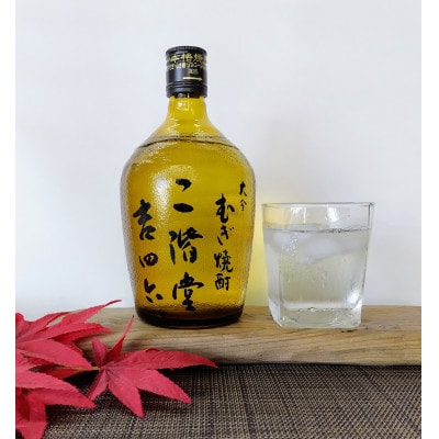 【毎月定期便】二階堂吉四六びん25度(720ml)4本セット 全6回【4009973】