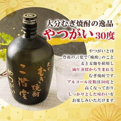 大分むぎ焼酎 二階堂 吉四六 瓶・豊後路・やつがい飲み比べセット(A) AG17【1078140】