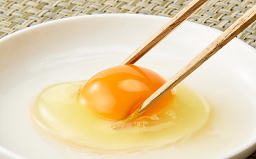 大分生まれのAW飼い「豊の米卵」10kg(赤卵)【配送不可地域：離島】【1714037】