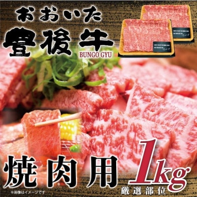 おおいた豊後牛焼肉用 1kg(500g×2P)(日出町)【配送不可地域：離島】【1571694】