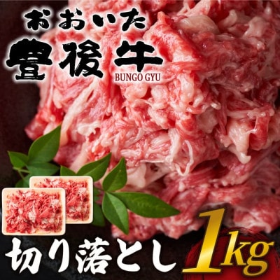 おおいた豊後牛切り落とし 1kg(500g×2P)(日出町)【配送不可地域：離島】【1571547】