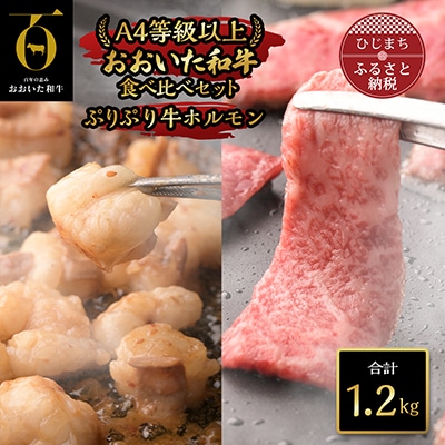 おおいた和牛食べ比べセット＆ぷりぷり牛ホルモン(合計1.2kg)【配送不可地域：離島】【1112603】