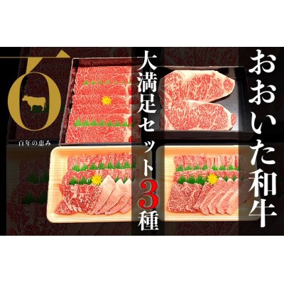 おおいた和牛3種セット 合計1.66kg(サーロインステーキ・すき焼き/しゃぶしゃぶ用・焼肉用)【配送不可地域：離島】【1700678】