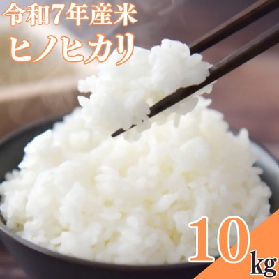 【令和7年産米】ヒノヒカリ　10kg【1735845】