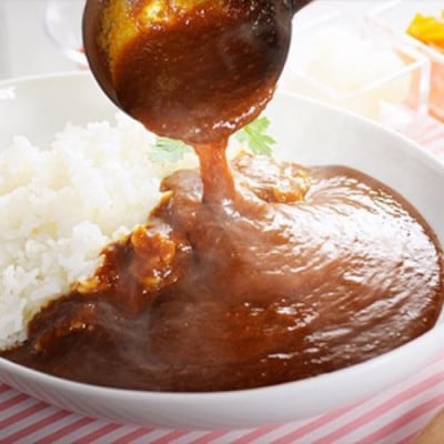 【毎月定期便】マインズカレー　10個セット全12回【配送不可地域：離島】【4064242】