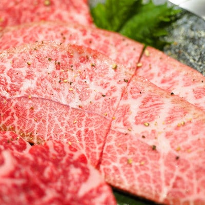 【厳選希少部位】おおいた豊後牛ミスジステーキ 約1kg(100g×10P)(日出町)【配送不可地域：離島】【1571755】