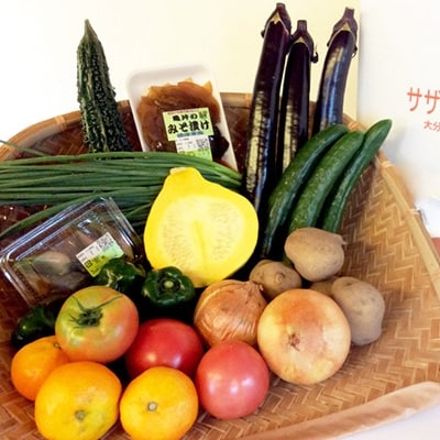 産地直送!旬の朝採れ野菜のセット(9〜13種程度)【配送不可地域：離島】【1088636】