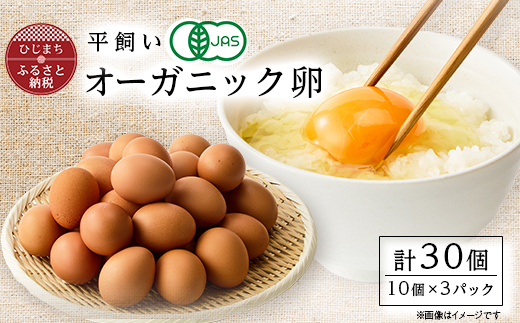 日出町産 平飼い卵30ヶ入り【配送不可地域：離島】【1596047】