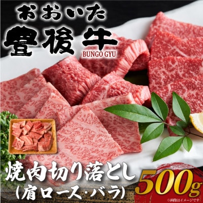 おおいた豊後牛焼肉切り落とし 500g(日出町)【配送不可地域：離島】【1571734】