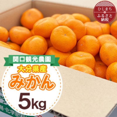 温州みかん約5キロ【1727486】