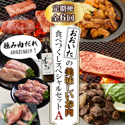 【毎月定期便】おおいたの美味しいお肉食べつくしスペシャルセットA全6回【配送不可地域：離島】【4063859】