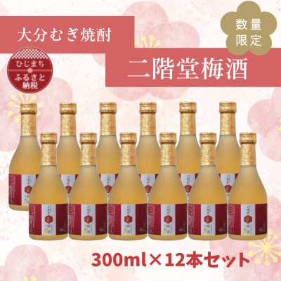 【数量限定♪】大分むぎ焼酎　二階堂梅酒(300ml)12本セット【1683542】